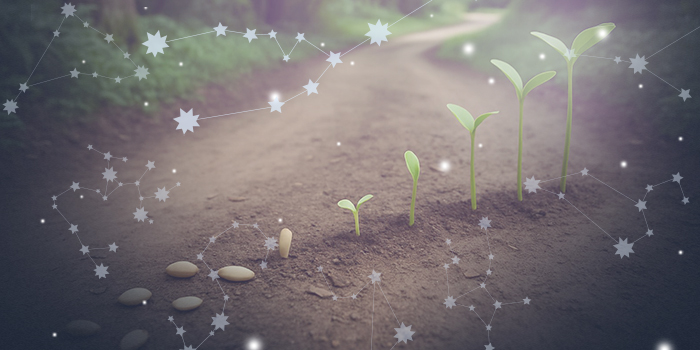 Дхарма и карма - изоражение 1