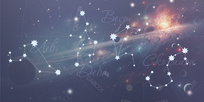 Бхарани: значение, особенности и влияние в ведической астрологии - изоражение 1