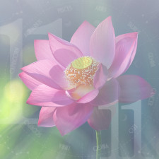 Кевала Йогада – потенциал к процветанию