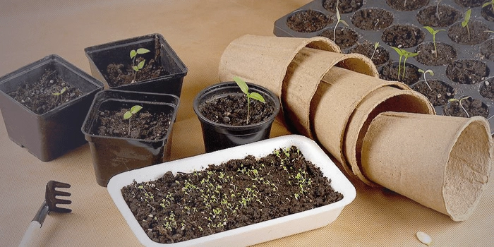 Лунный календарь ⦁ Январь 2026 - изоражение 11