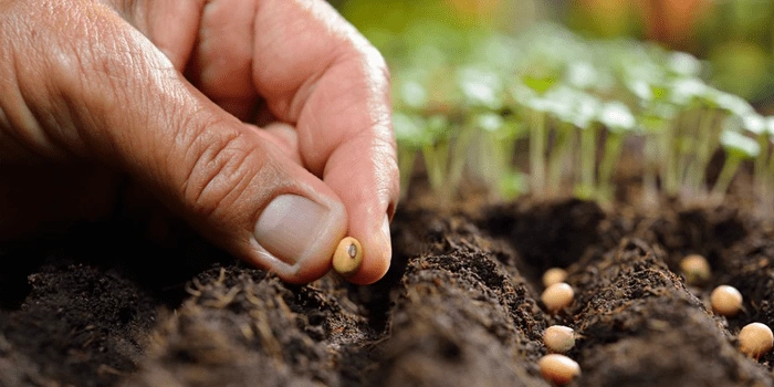 Лунный календарь ⦁ Февраль 2026 - изоражение 12