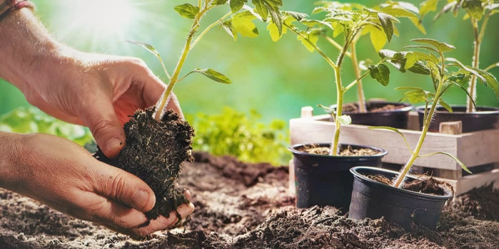 Лунный календарь ⦁ Март 2026 - изоражение 12