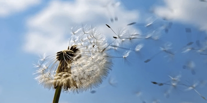 Таттвы и грахи ⦁ Часть 1 - изоражение 3