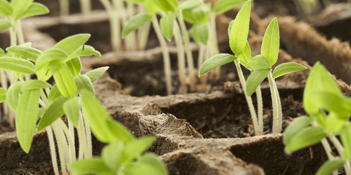 Лунный календарь ⦁ Ноябрь 2025 - изоражение 12